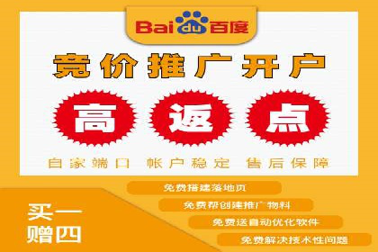 案例研究：如何通过竞价广告实现精准营销